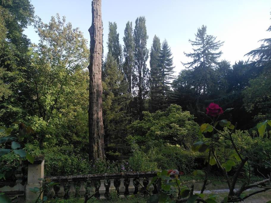 Вілла Magnifiques Ecuries Juste Renovees - Domaine De La Mulotiere Ланже Екстер'єр фото