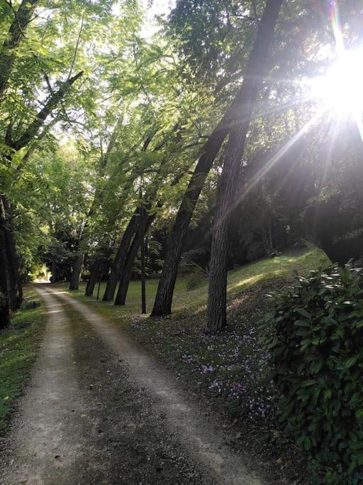 Вілла Magnifiques Ecuries Juste Renovees - Domaine De La Mulotiere Ланже Екстер'єр фото
